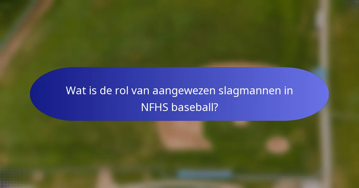 Wat is de rol van aangewezen slagmannen in NFHS baseball?